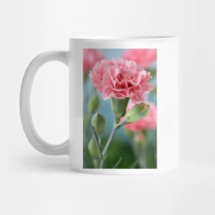 Dianthus  Pink Mug